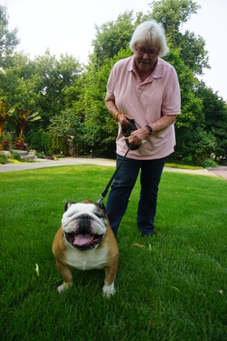 The Pet Sitters customer with dog, Minneapolis, Minnesota